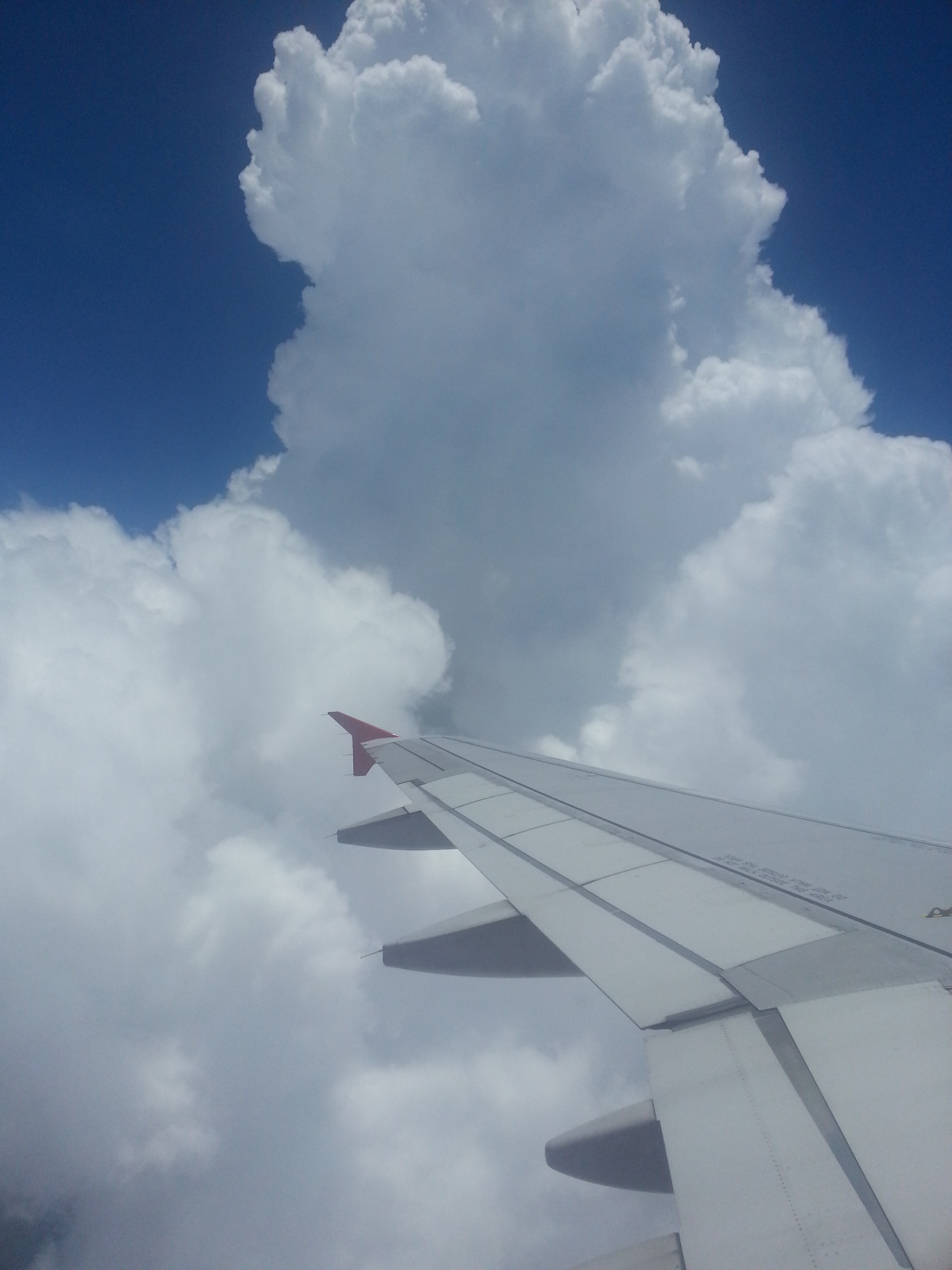 20140516_122545.jpg