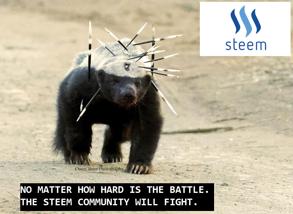 STEEM.png