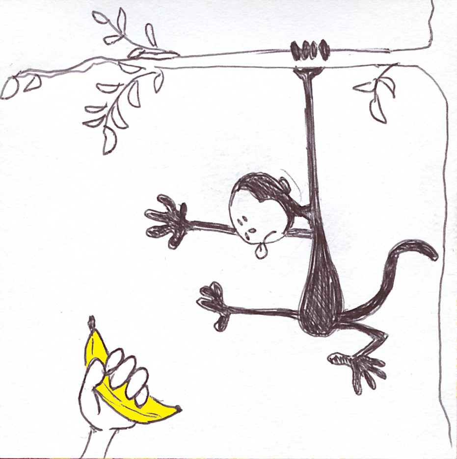 Monkey.jpg