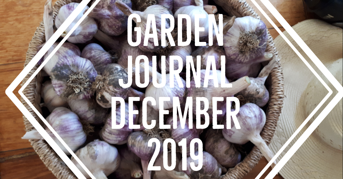 Adobe_Post_20191228_0742560.8794508218102168.png