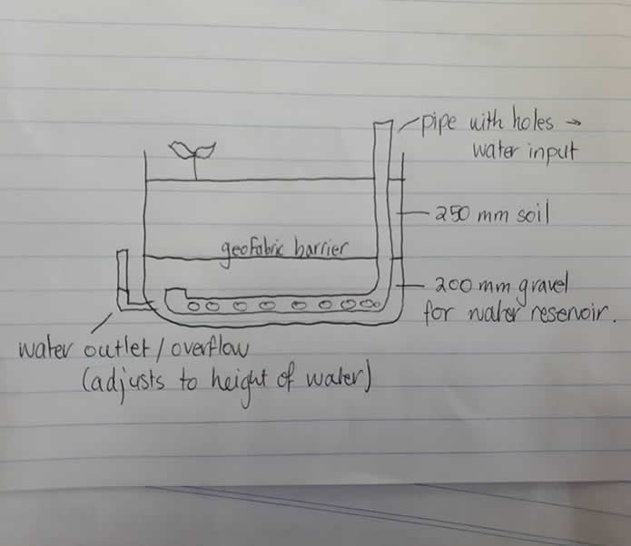 drawing.jpg