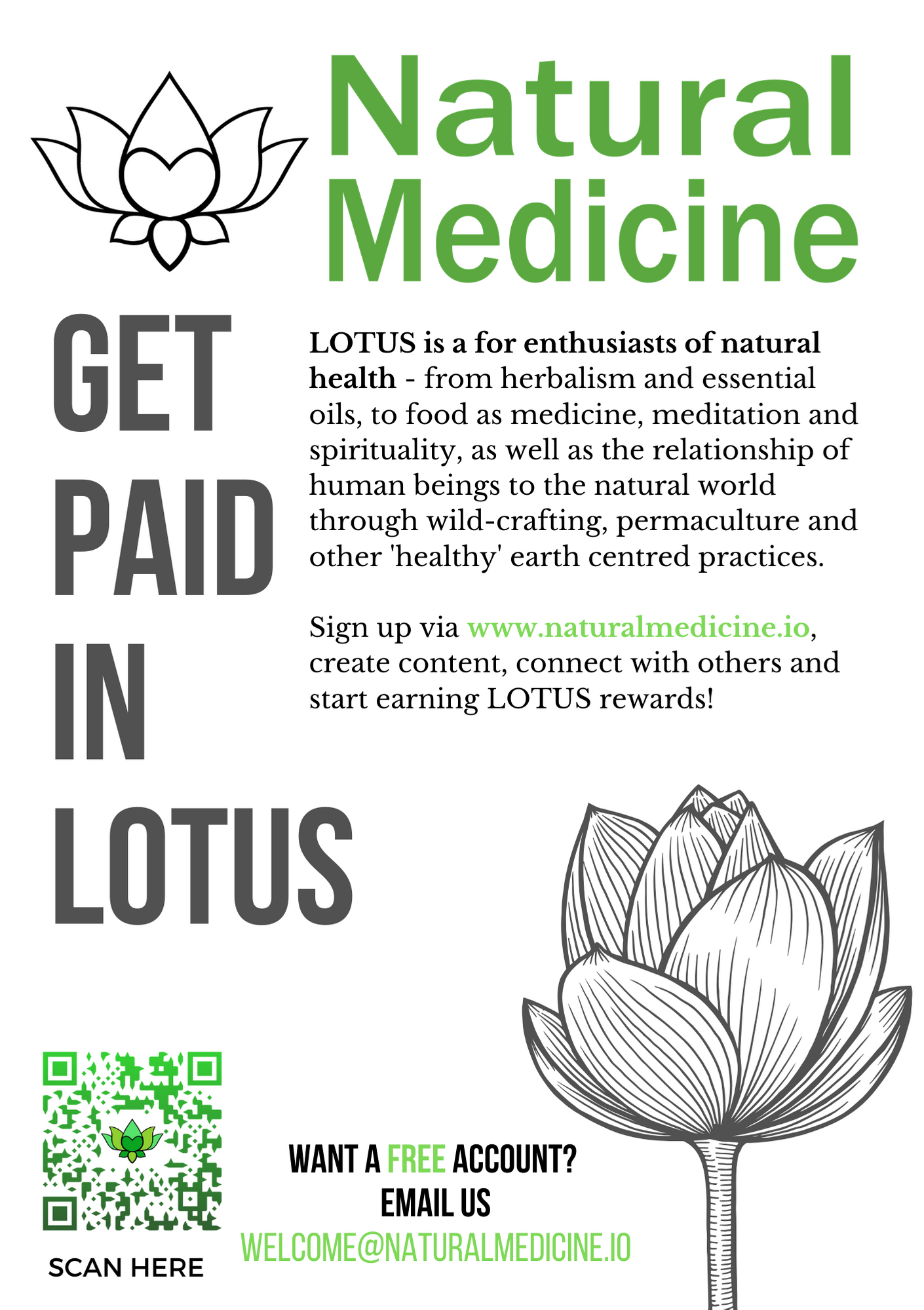 Lotus_Flyer.png