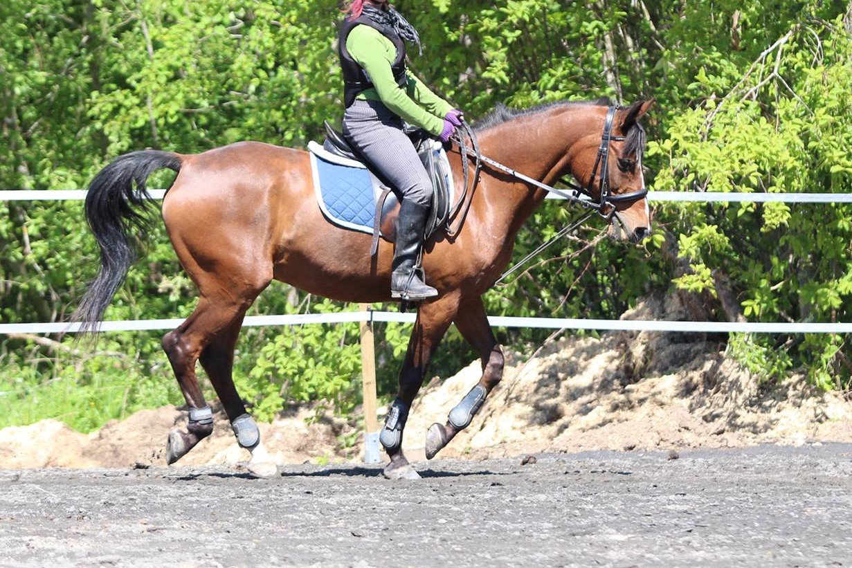 19532770_1596459383706674_1588438262_o 2.jpg