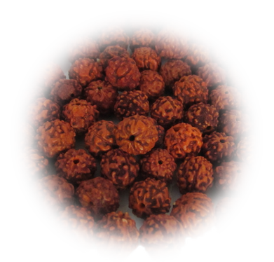 Steemit profile picture for @rudraksha