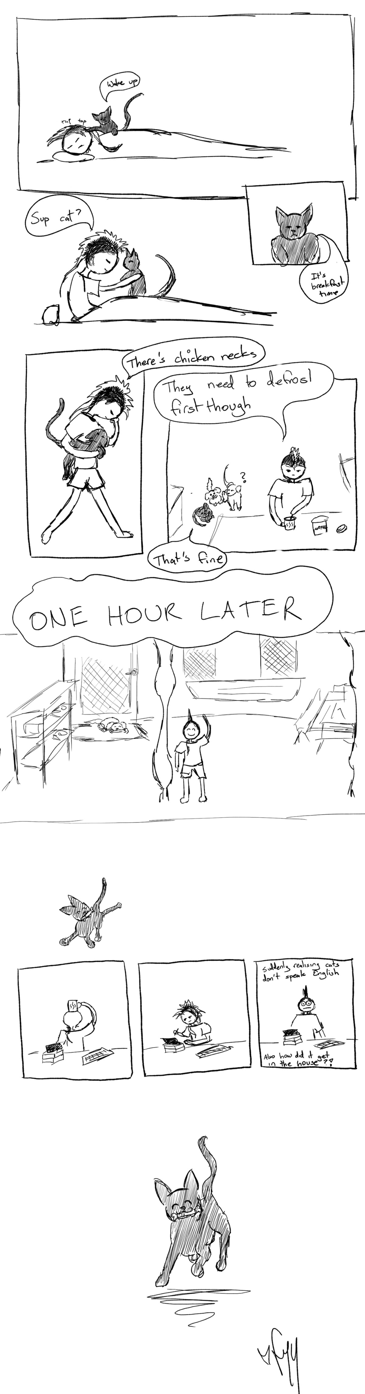 talkingcat.jpg