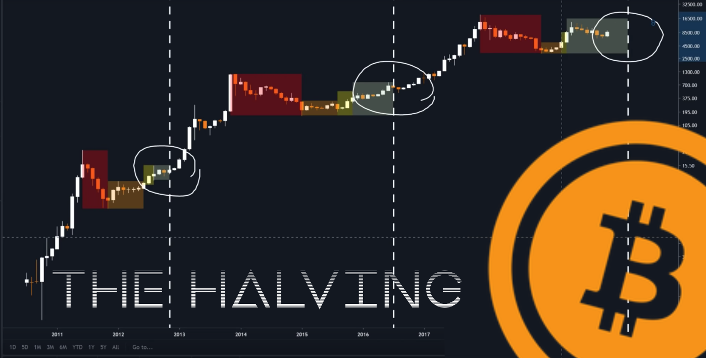 Major Uptick In Interest For The Bitcoin Halving