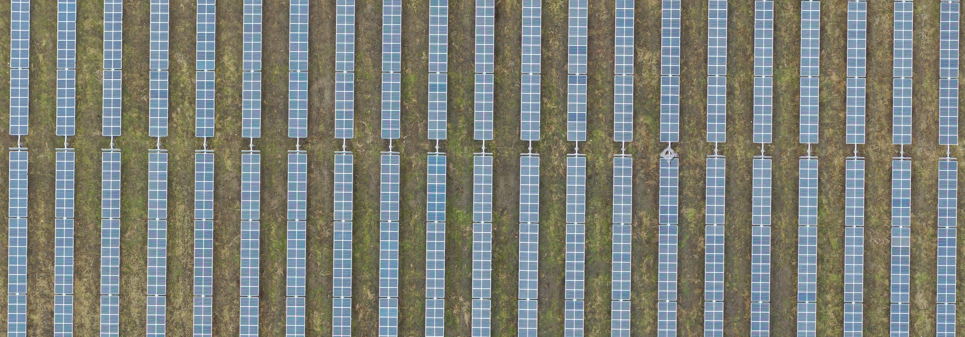 Screen Shot 20191107 at 11.50.22.png