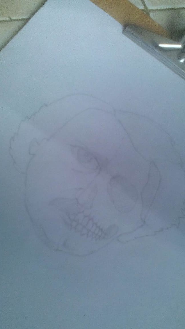 70781956_2485038391770842_1388366122805362688_n poe calavera.jpg