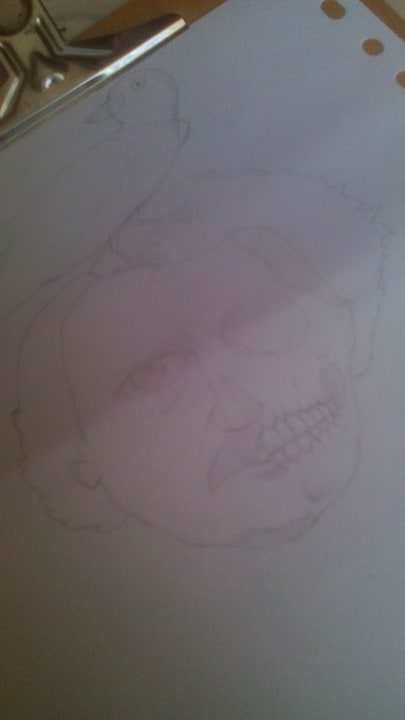 70414386_236794913925071_3286287204262871040_n cuervo uno.jpg