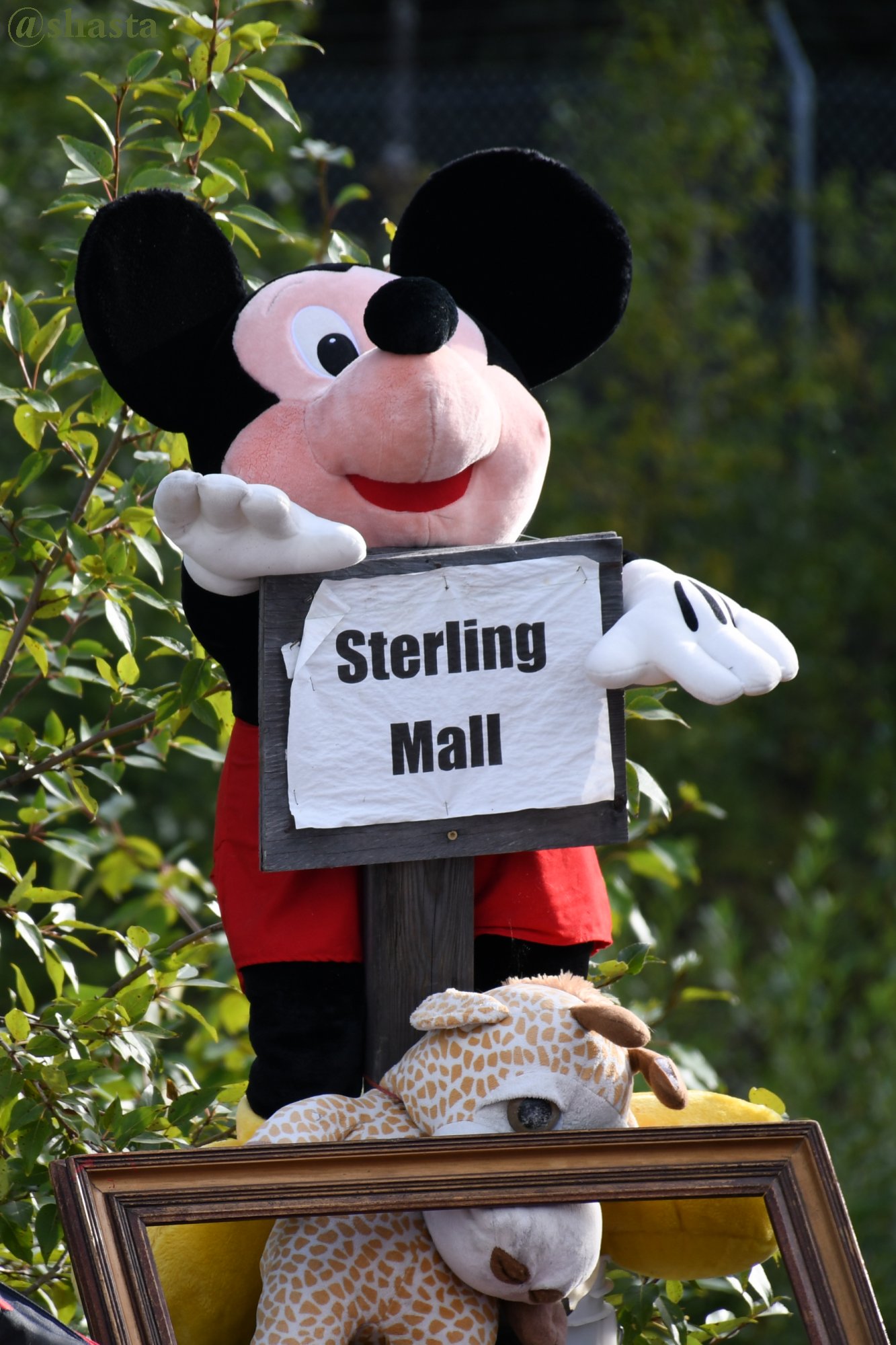 shasta2019sept26th47mall6io.jpg