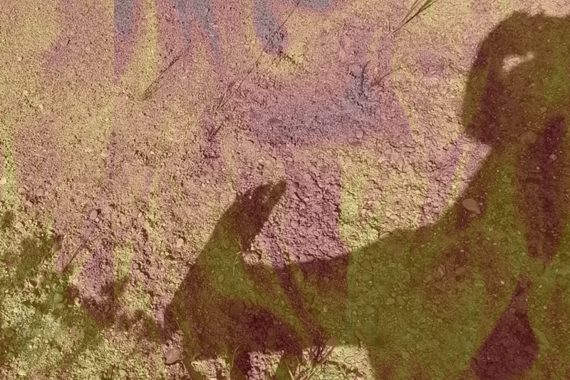 shasta2019july23rd47footcramp10io.gif
