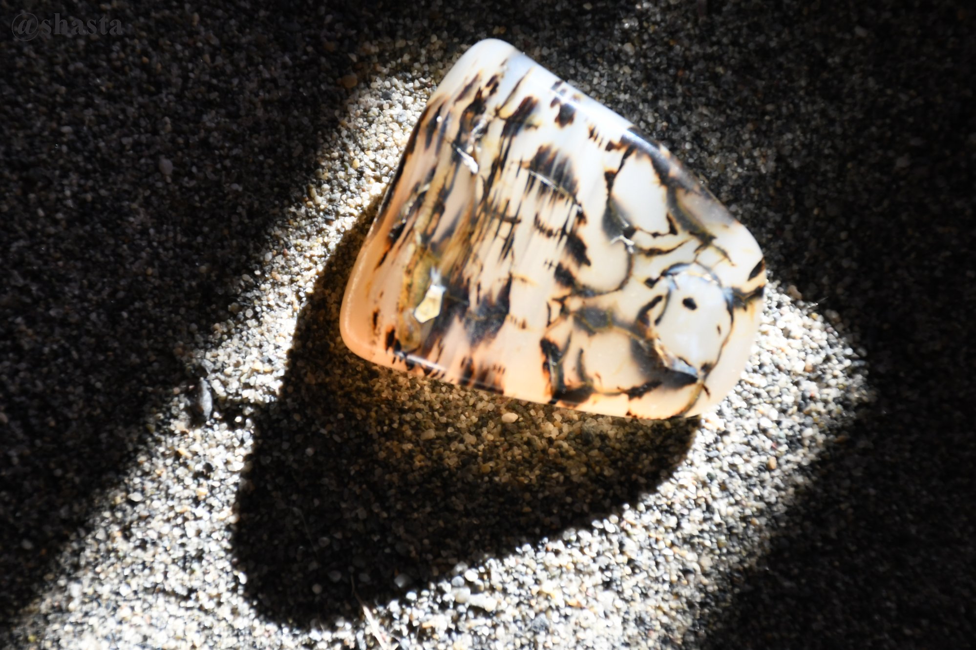 shasta2019july5th47agate2io.jpg