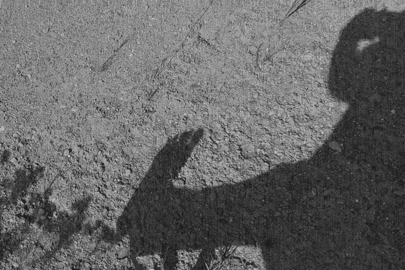 shasta2019july23rd47footcramp14io.gif