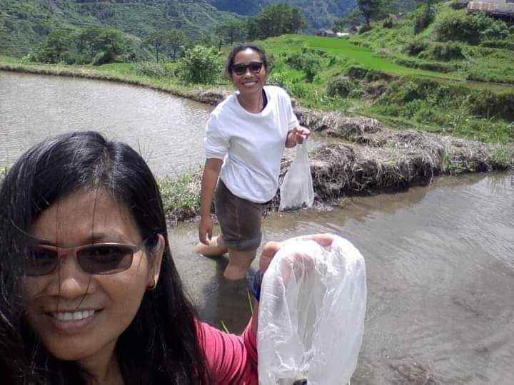 received_642536529795177.jpeg