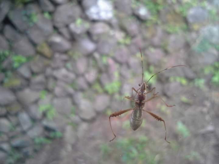 received_644449806201531.jpeg