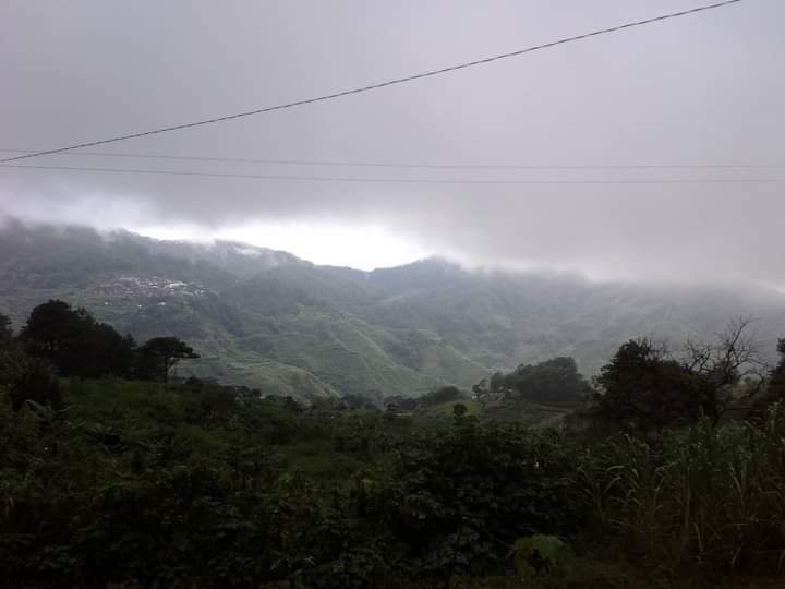 received_2675556286043504.jpeg