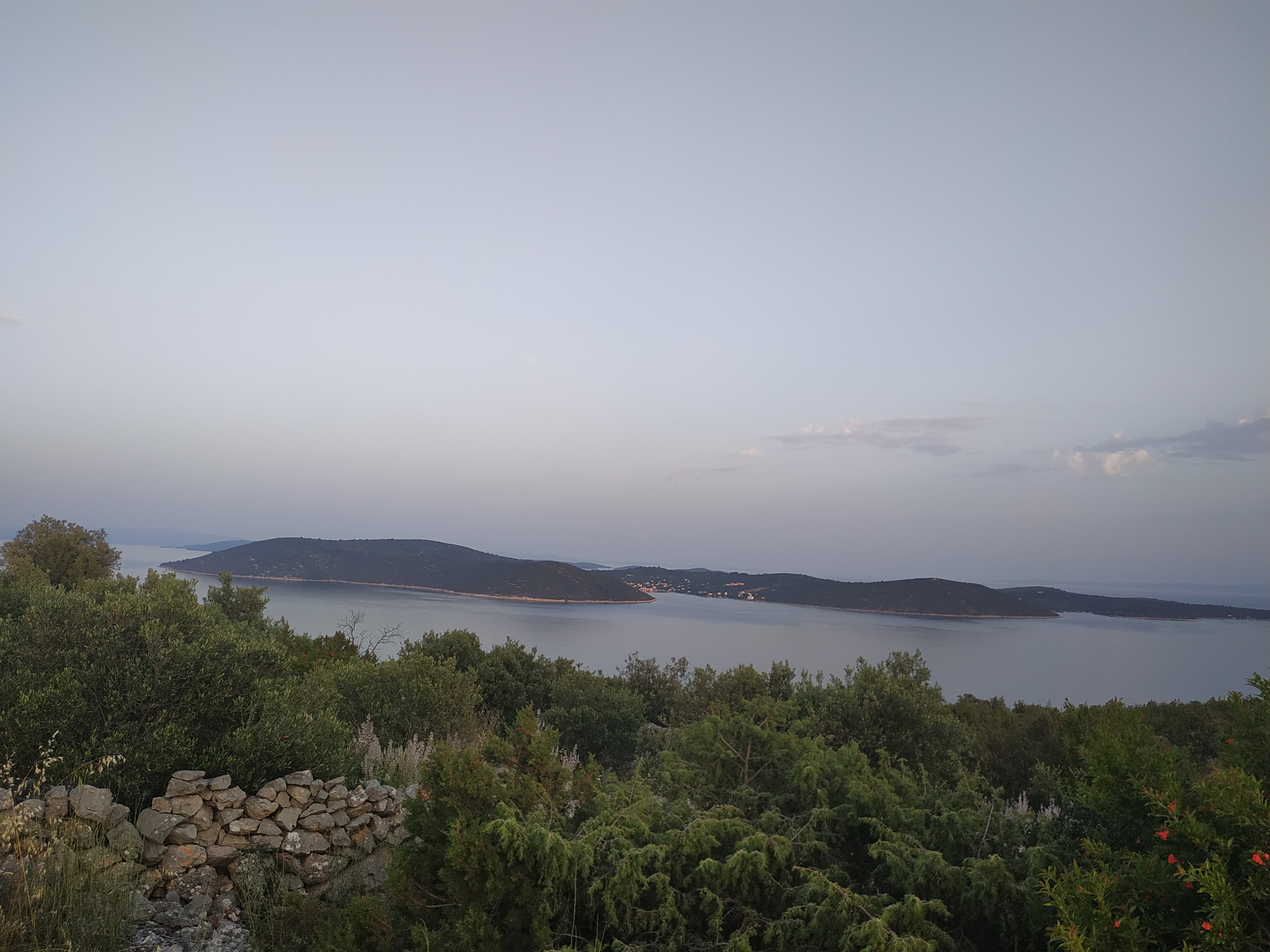 IMG_20190611_200602.jpg
