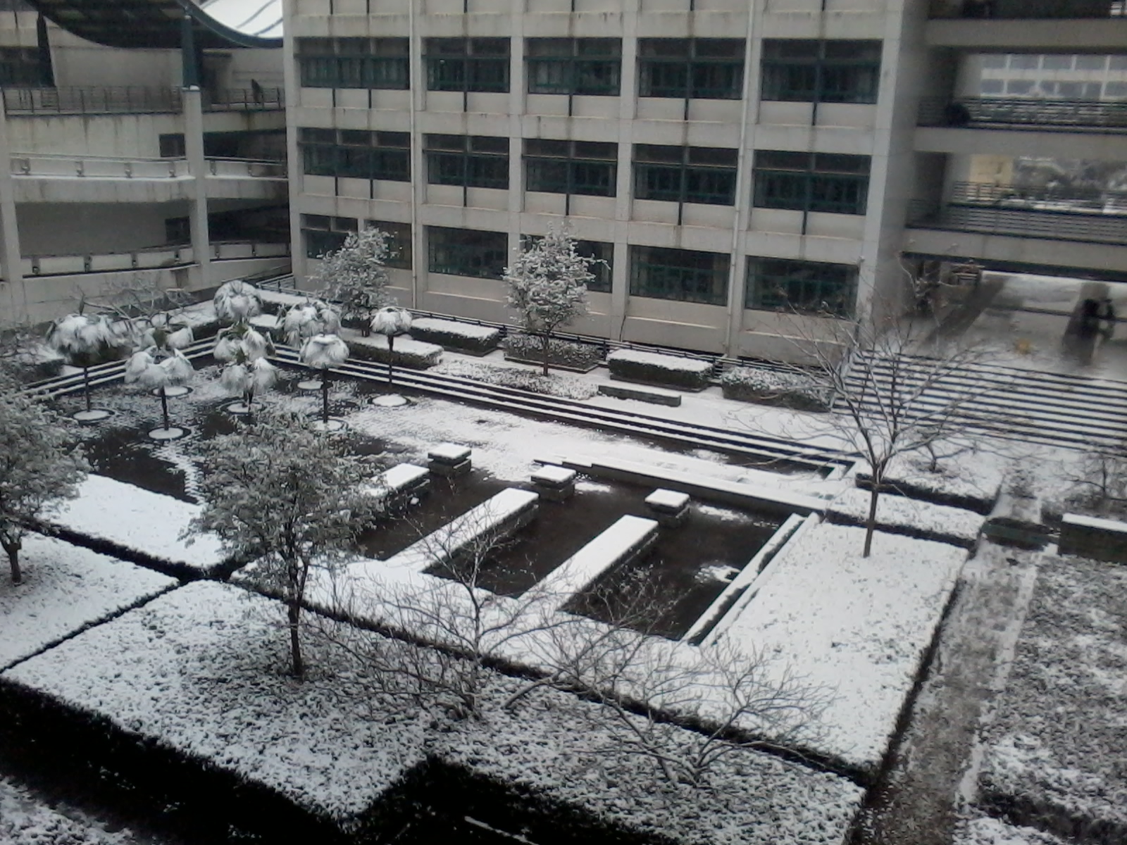 20130104 11.39.13.jpg