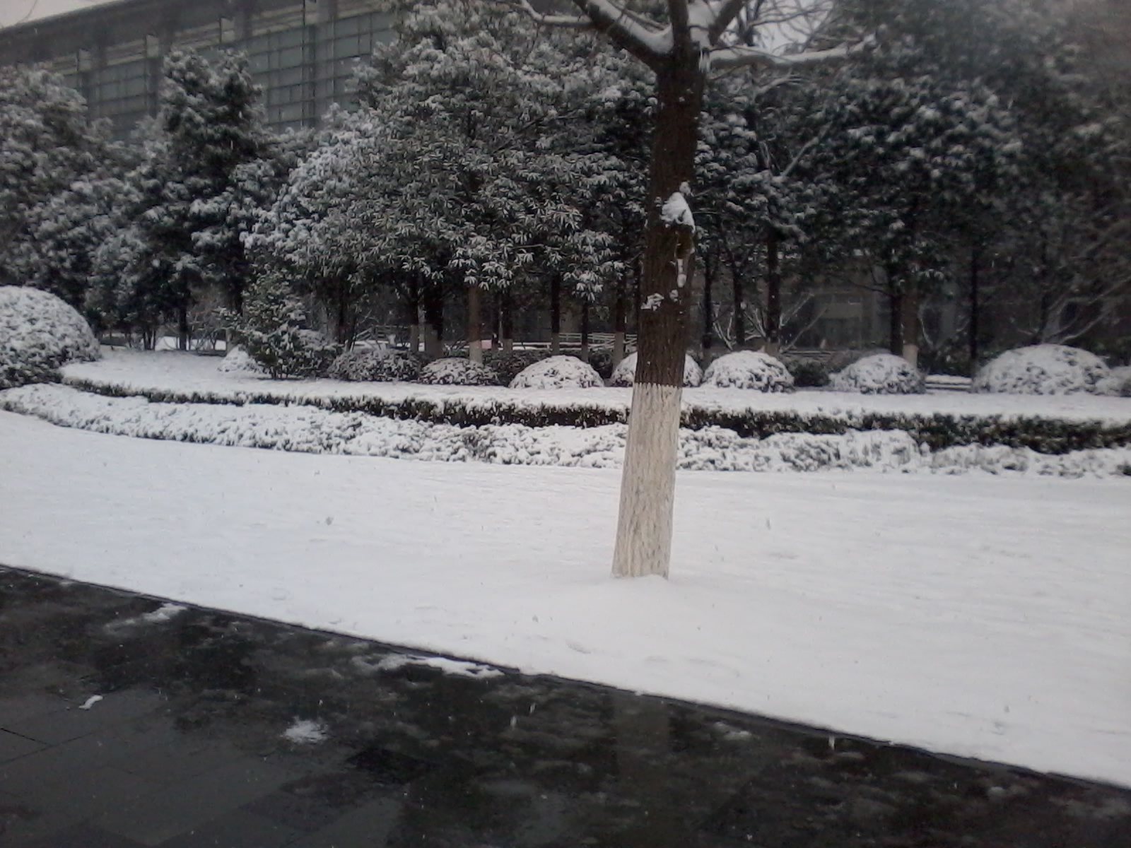 20130104 11.59.33.jpg