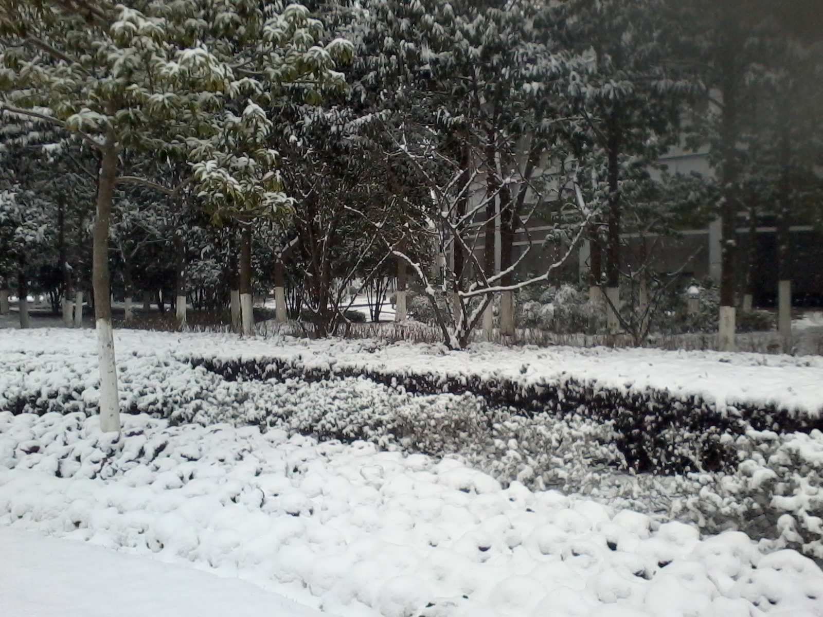 20130104 11.56.43.jpg
