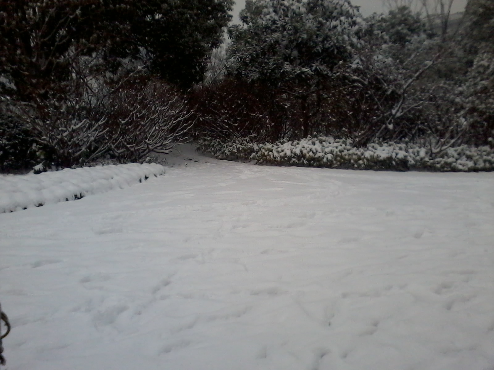 20130104 16.31.57.jpg