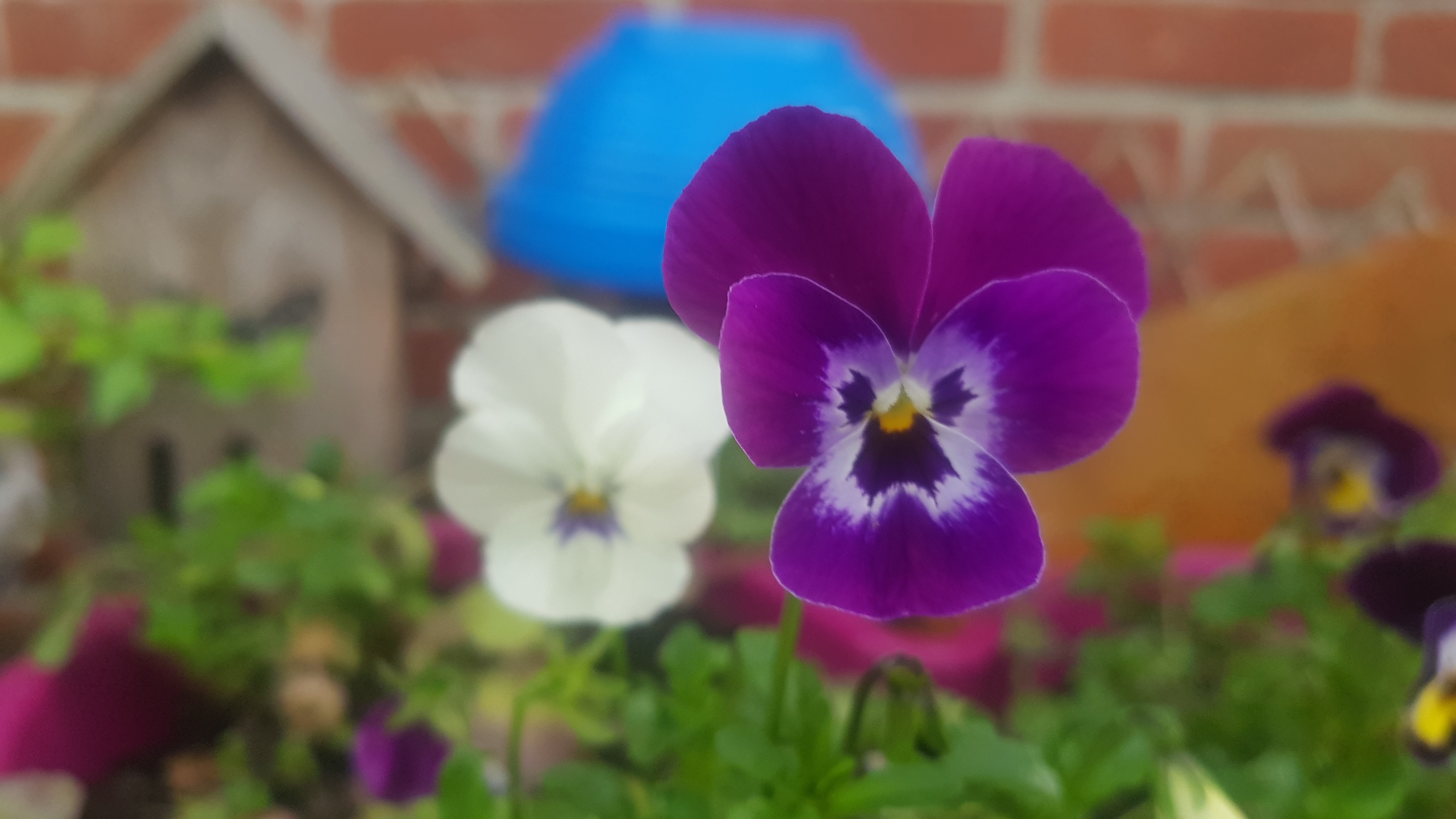 20190607_181640.jpg