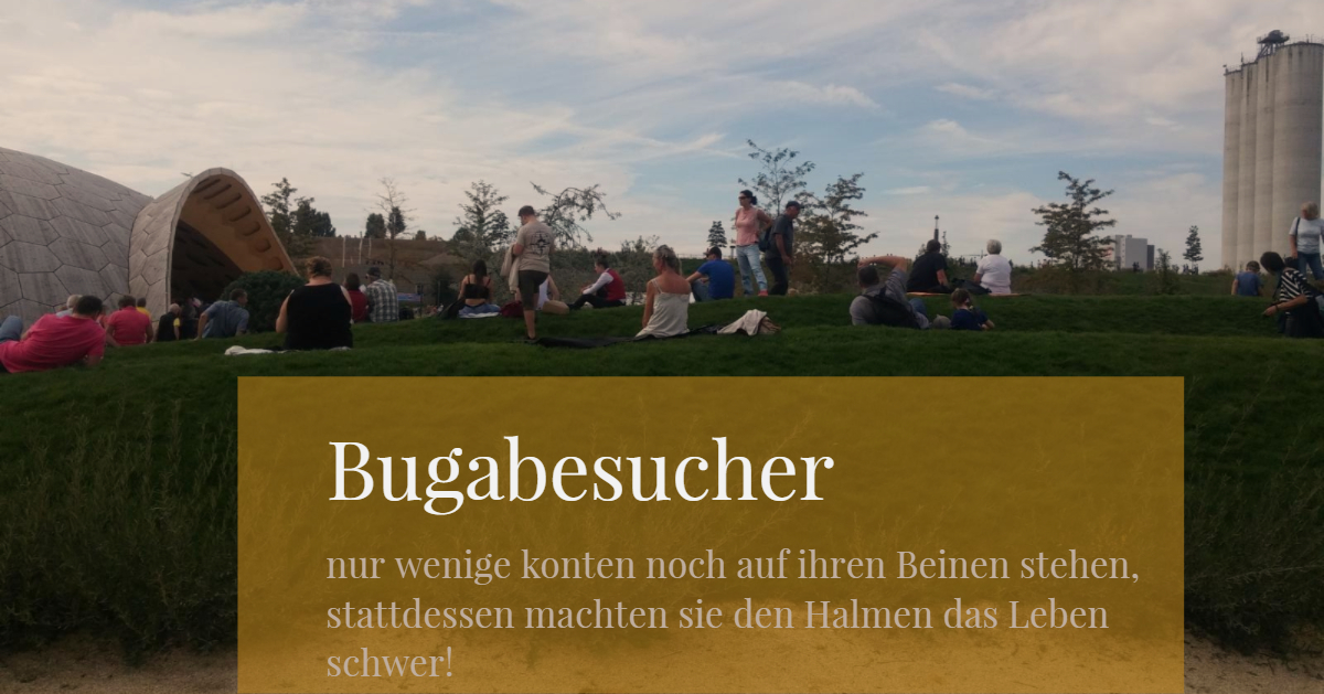 Bugabesucher.jpg