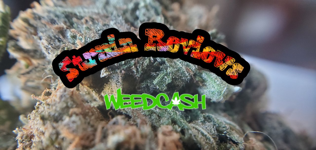 cannabis strain reviews.jpg