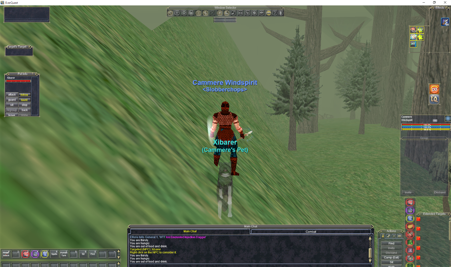 EverQuest 20_01_2020 16_51_40.png