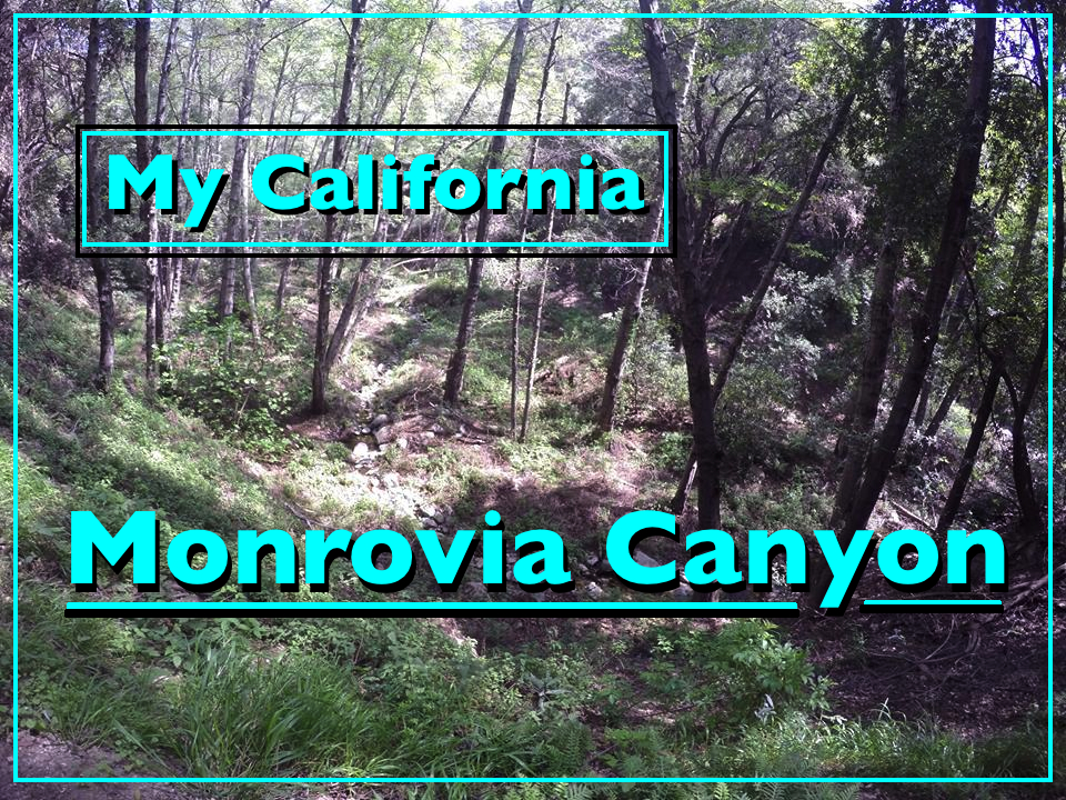 Monrovia cover.jpg