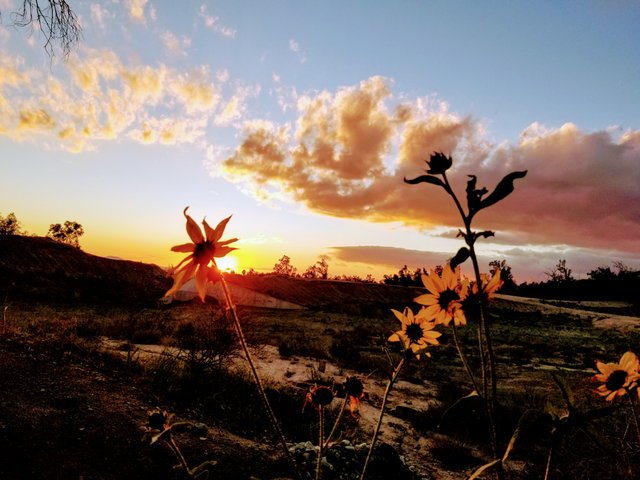 vM1pGHgNcyCXUWJECrZbvn1NMPj1oFGUo3gYfF3NNPRD9U4bvcNKf6kpMicrU6wPUs5c6CqY6UXSBu84JCjkVGFwYQHhL5Exf9Dbr5GX2YixwdCSD5Ht3aHK52W2ST5j95PjLZC.jpg