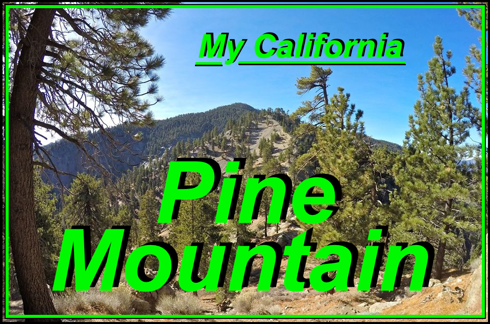 Pine mtn cover1.png