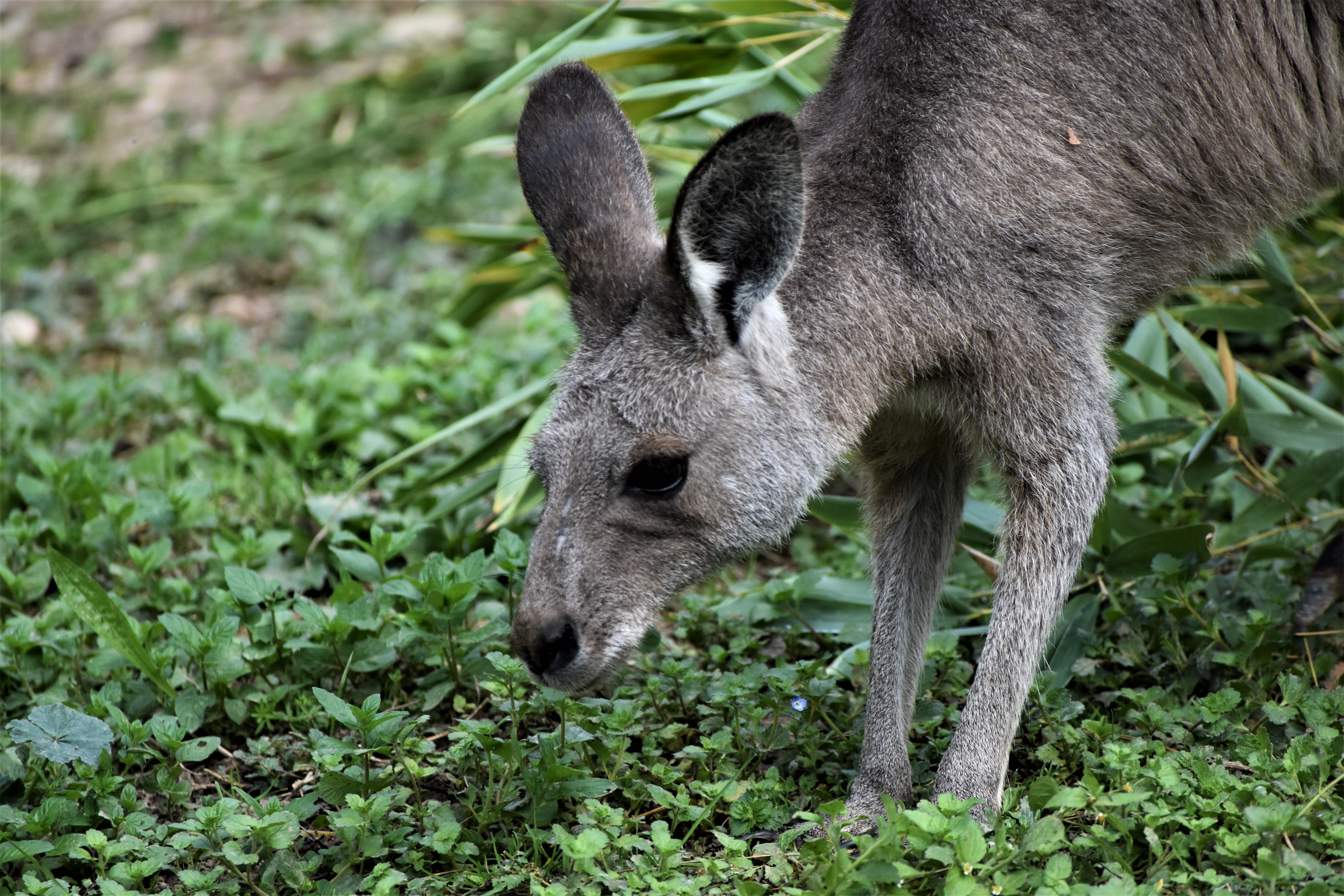 DSC_0143.JPG