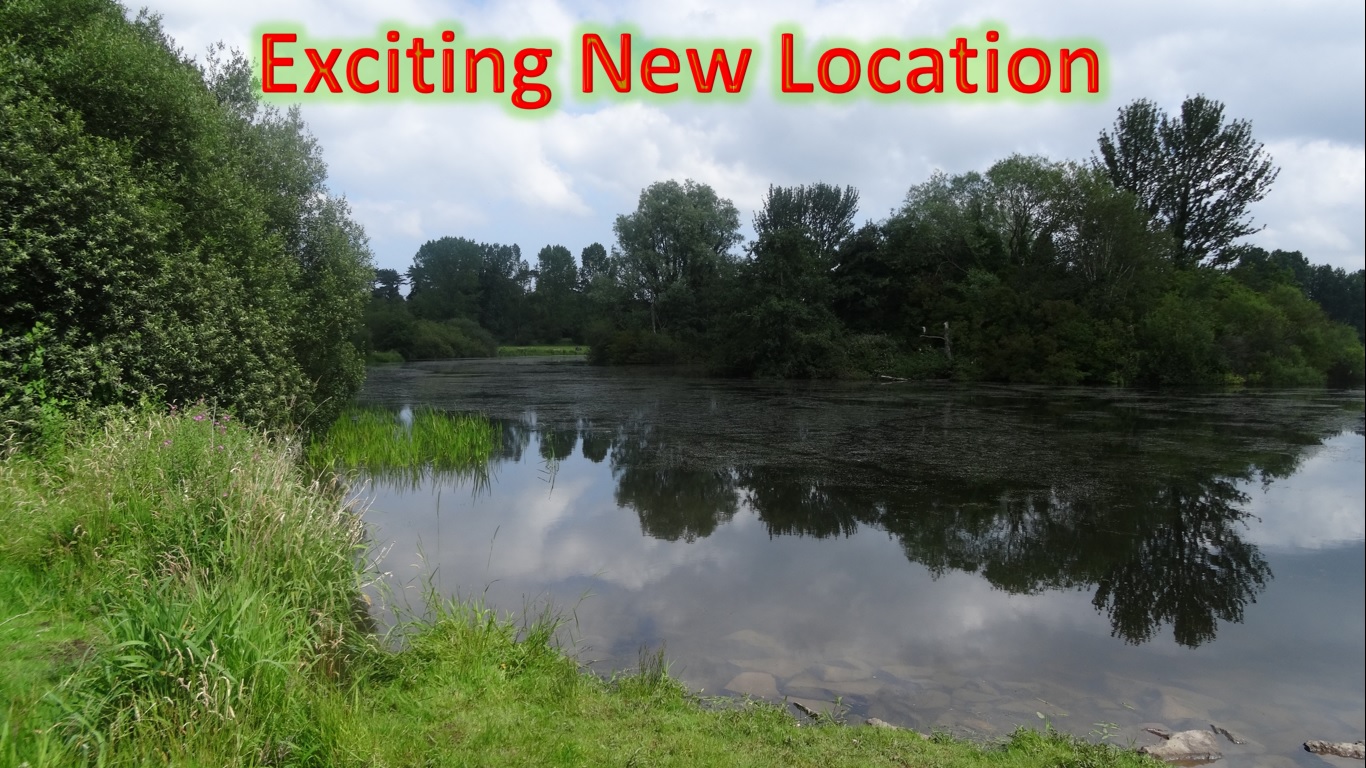 NewLocation.jpg