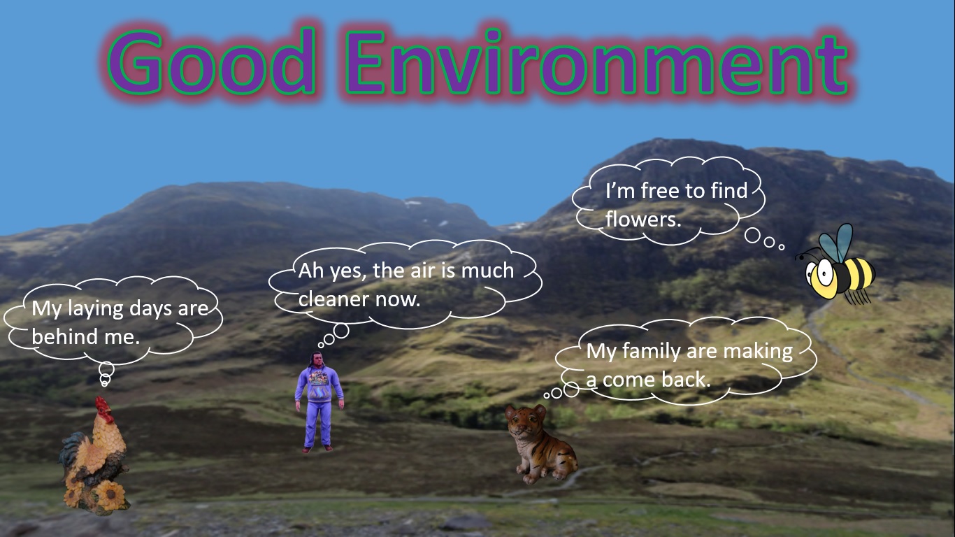 EnvironmentG.jpg