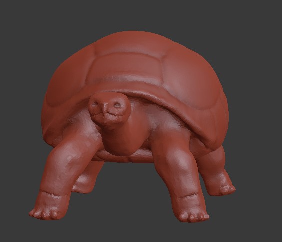 turtle_4.jpg