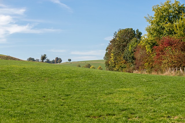 nature3751909_640.jpg