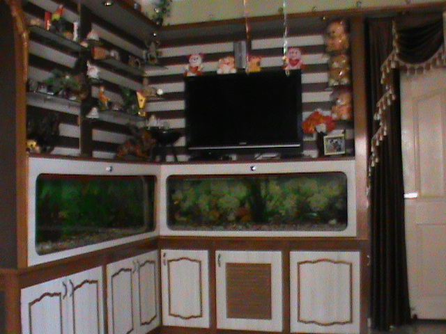 DSC00745.JPG