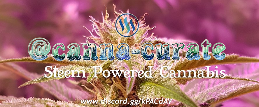frOlElDf-canna-curate-banner2.jpg