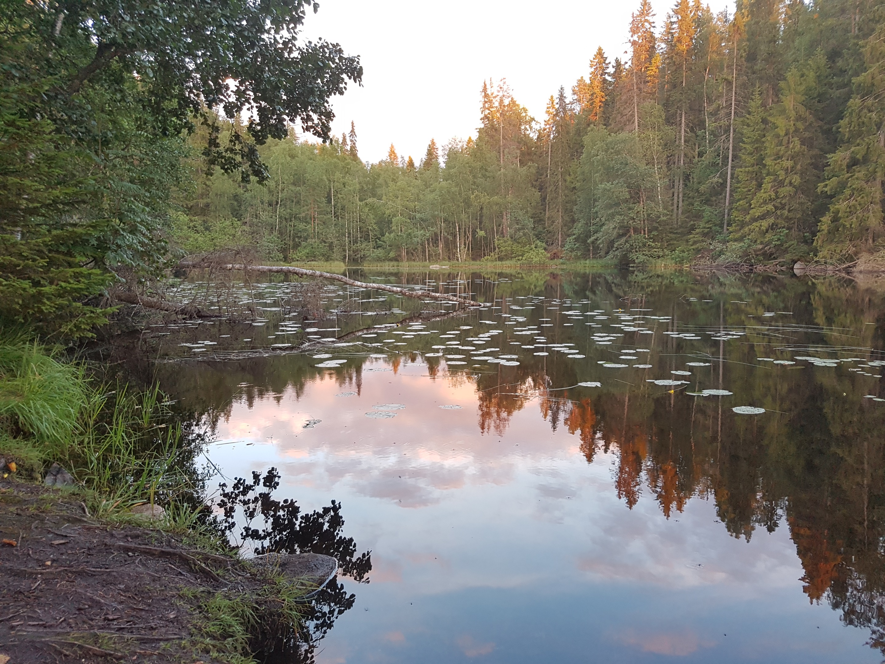 20170808_212651.jpg