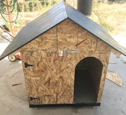 doghouse.jpg