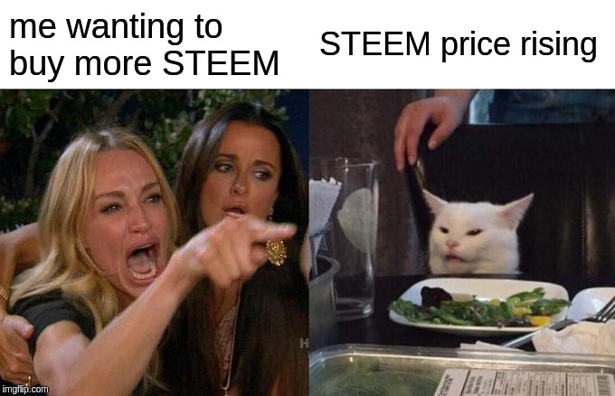 yellingatcat.png