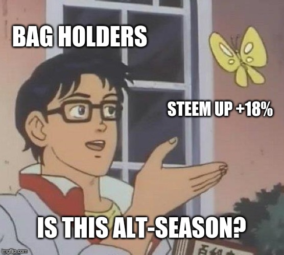 isthisbutterfly.jpg