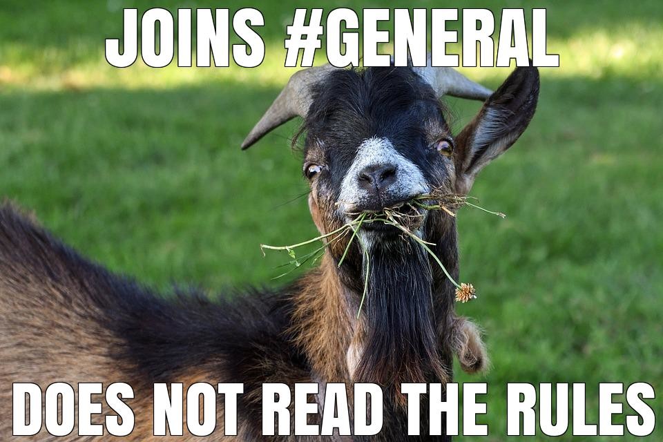 Goat of Shame.jpeg