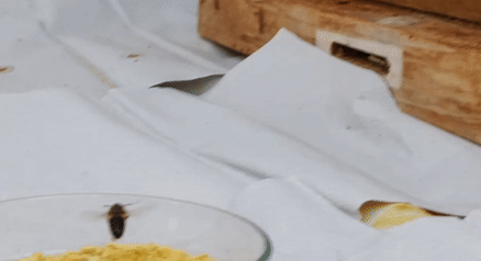Sequence 2.gif