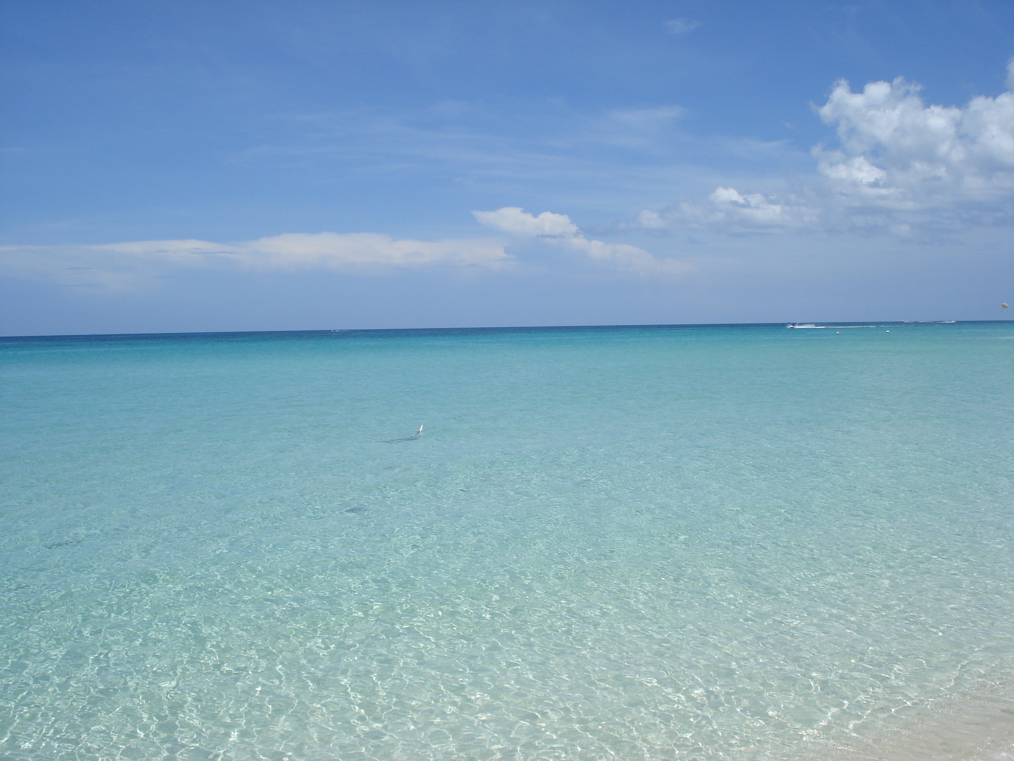 Jamacia 2010 039.jpg
