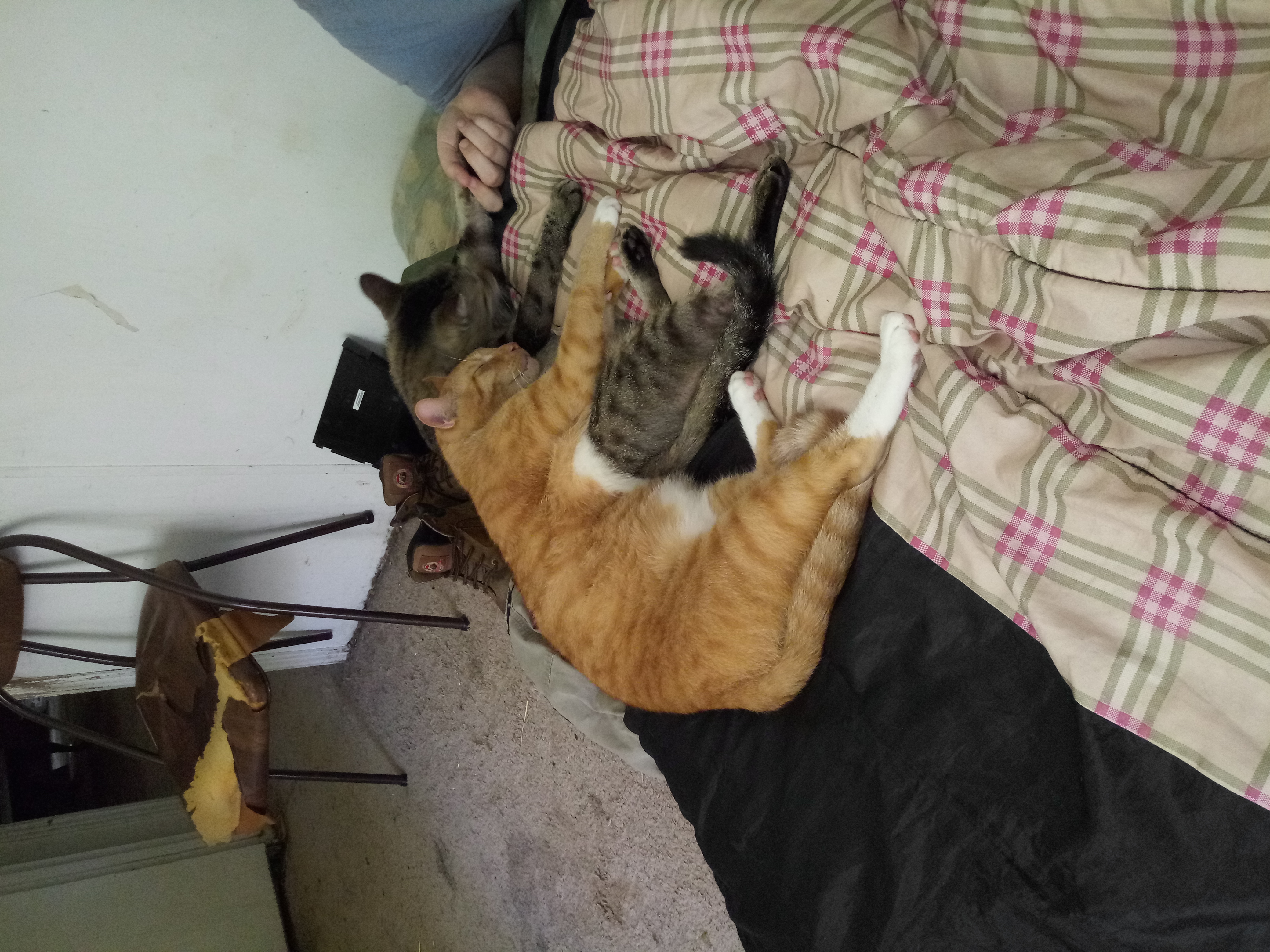 20190604_132241.jpg