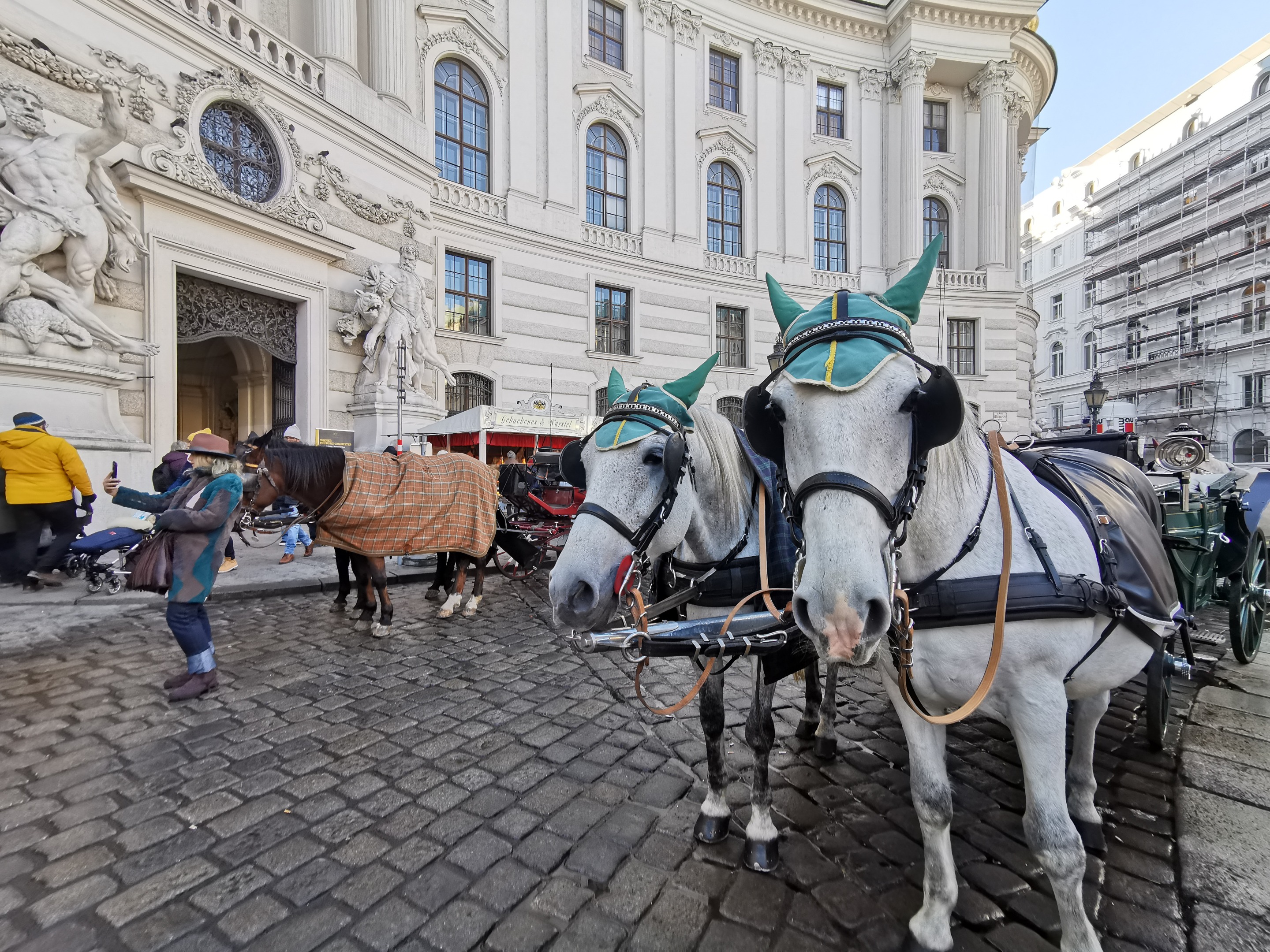 IMG_20191211_135849.jpg