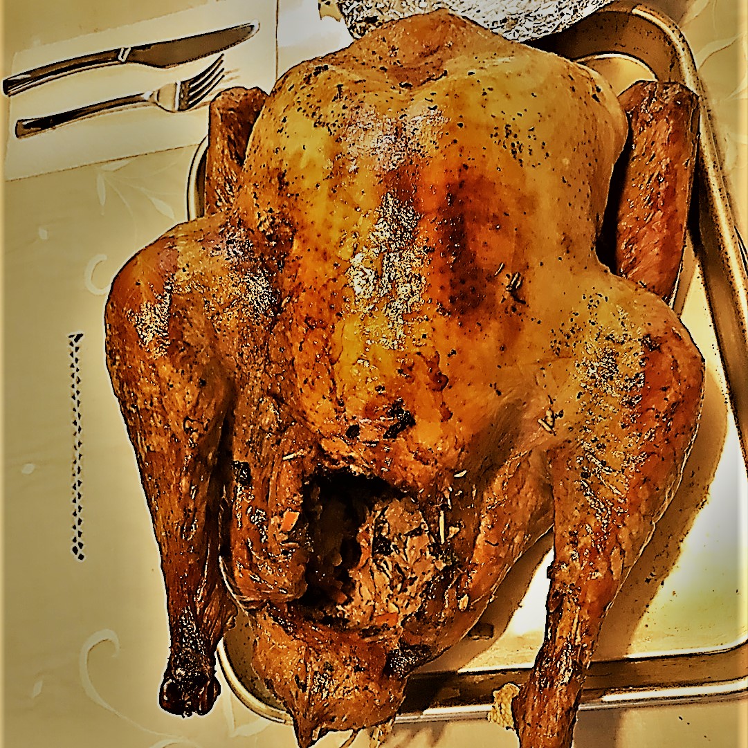 Steemit profile picture for @thanksgiving