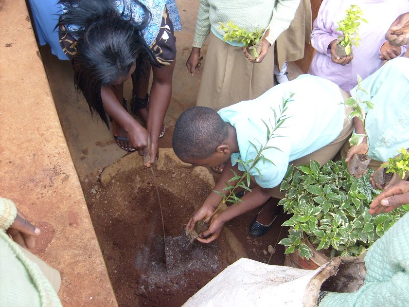 tree planting.jpg